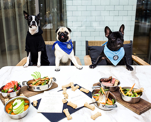 Dogs waiting to eat, The Wilson Dog menu