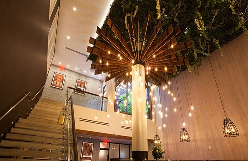 The Wilson Lights